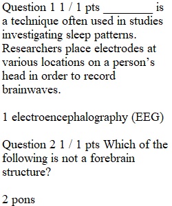 Chapter 3 Quiz